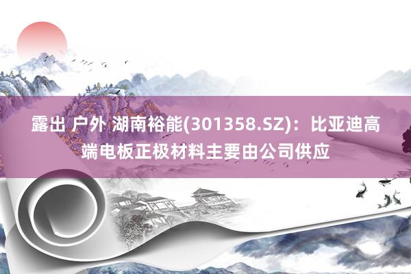 露出 户外 湖南裕能(301358.SZ)：比亚迪高端电板正极材料主要由公司供应