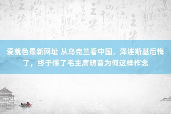 爱就色最新网址 从乌克兰看中国，泽连斯基后悔了，终于懂了毛主席畴昔为何这样作念