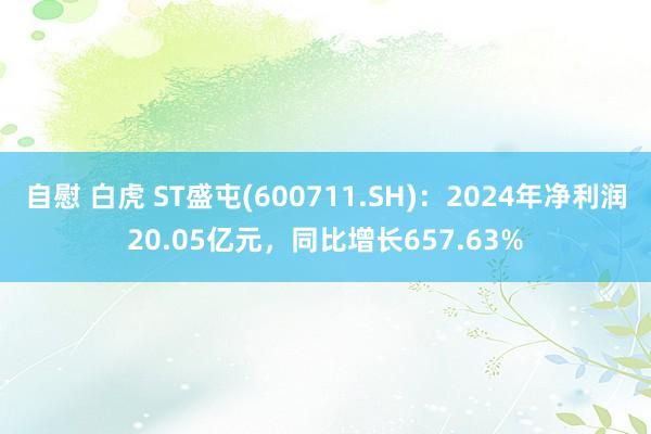 自慰 白虎 ST盛屯(600711.SH)：2024年净利润20.05亿元，同比增长657.63%