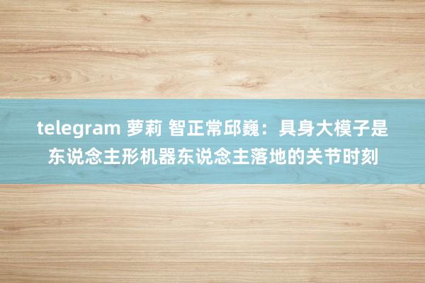 telegram 萝莉 智正常邱巍：具身大模子是东说念主形机器东说念主落地的关节时刻