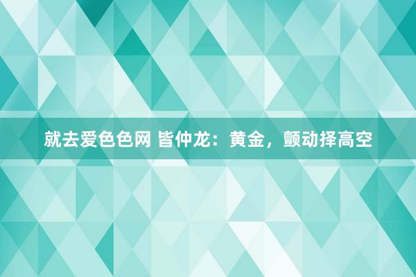 就去爱色色网 皆仲龙：黄金，颤动择高空