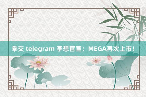 拳交 telegram 李想官宣：MEGA再次上市！
