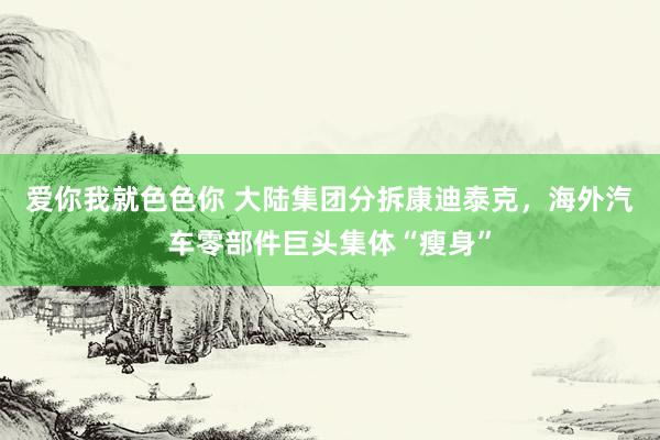 爱你我就色色你 大陆集团分拆康迪泰克，海外汽车零部件巨头集体“瘦身”