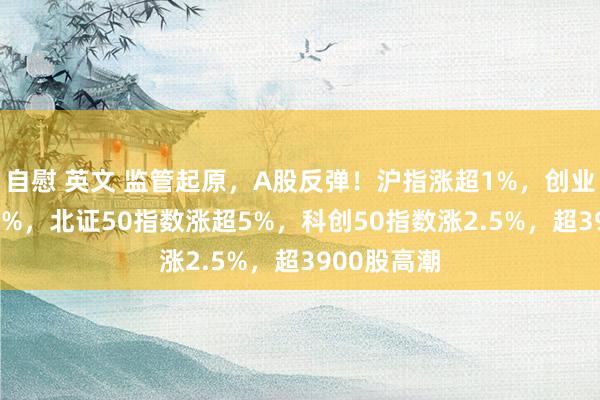 自慰 英文 监管起原，A股反弹！沪指涨超1%，创业板指涨3.8%，北证50指数涨超5%，科创50指数涨2.5%，<a href=