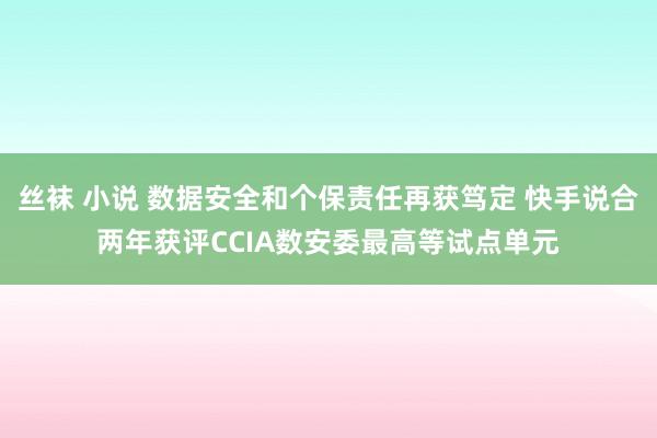 丝袜 小说 数据安全和个保责任再获笃定 快手说合两年获评CCIA数安委最高等试点单元