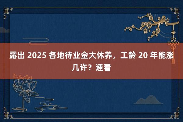 露出 2025 各地待业金大休养，工龄 20 年能涨几许？速看