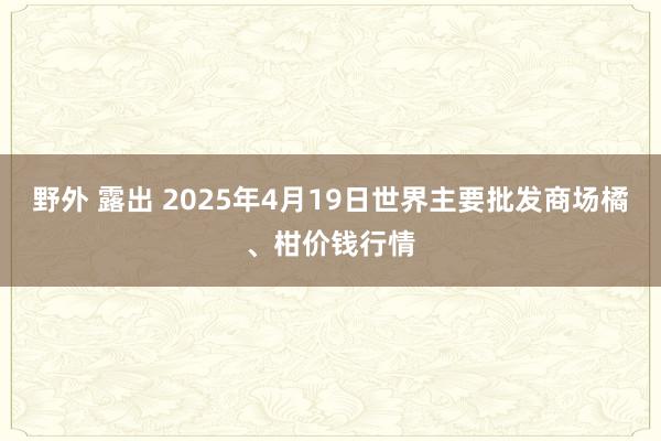 野外 露出 2025年4月19日世界主要批发商场橘、柑价钱行情