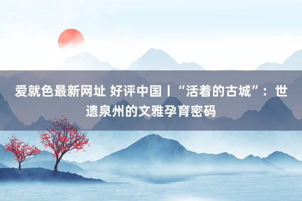 爱就色最新网址 好评中国丨“活着的古城”：世遗泉州的文雅孕育密码