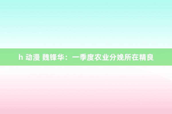 h 动漫 魏锋华：一季度农业分娩所在精良