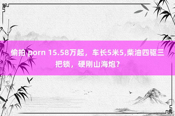 偷拍 porn 15.58万起，车长5米5，柴油四驱三把锁，硬刚山海炮？