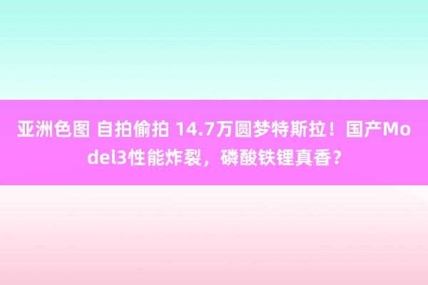 亚洲色图 自拍偷拍 14.7万圆梦特斯拉！国产Model3性能炸裂，磷酸铁锂真香？