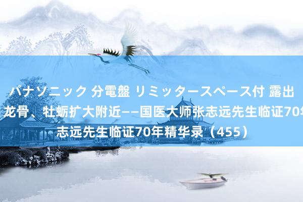 パナソニック 分電盤 リミッタースペース付 露出・半埋込両用形 龙骨、牡蛎扩大附近——国医大师张志远先生临证70年精华录（455）