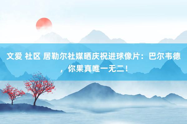 文爱 社区 居勒尔社媒晒庆祝进球像片：巴尔韦德，你果真唯一无二！