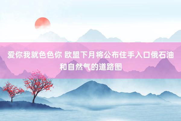 爱你我就色色你 欧盟下月将公布住手入口俄石油和自然气的道路图