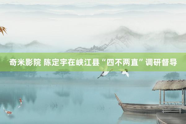 奇米影院 陈定宇在峡江县“四不两直”调研督导