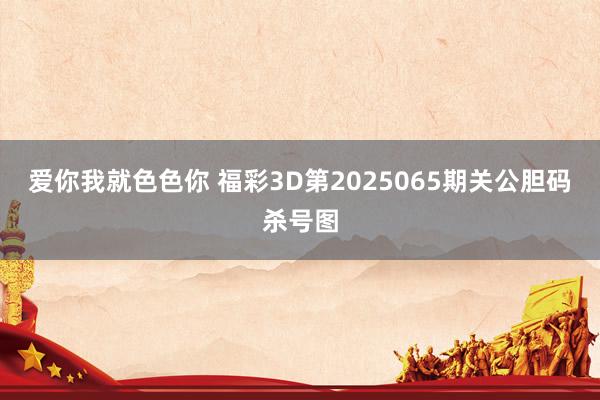 爱你我就色色你 福彩3D第2025065期关公胆码杀号图